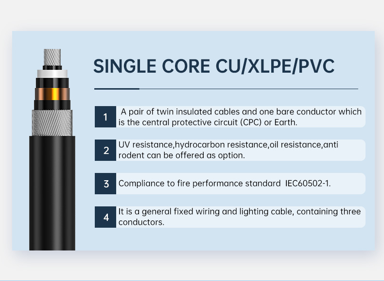 12/20 (24)kV Single Core AL/XLPE/PVC MV Power Cable(图2)