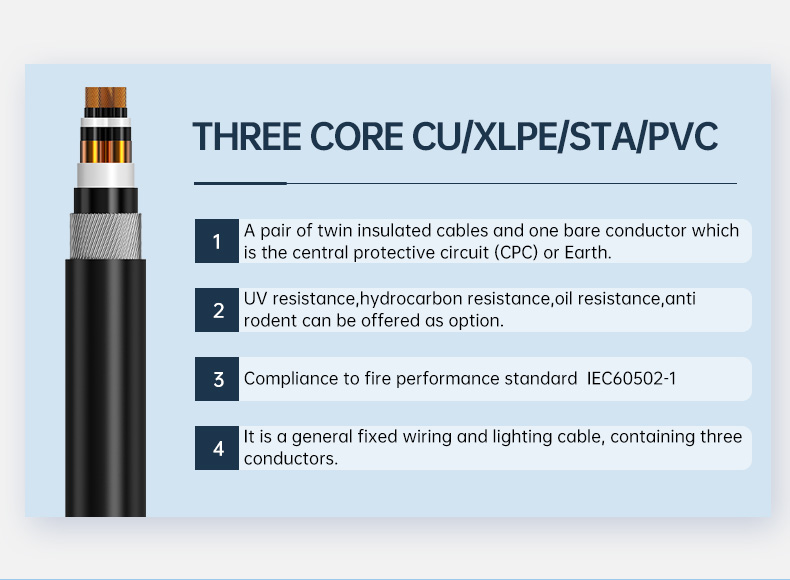 XCTSP Three Core  CU/XLPE/SWA/STA Power Cable Manufacturer(图2)